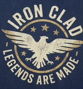 Men’s “Iron Eagle 73” Graphic Printed T-Shirt – Premium Cotton | Regular & Oversized Fit